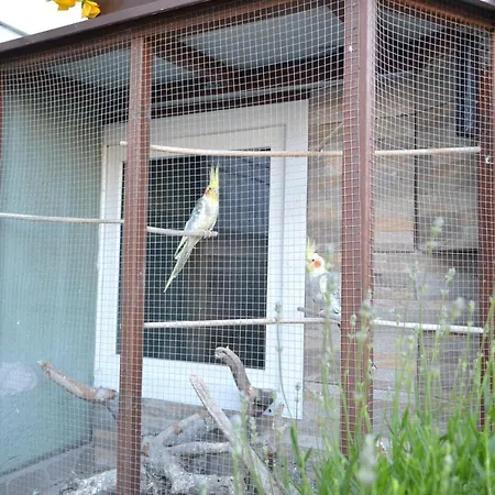 Goscinne U Hanki Homestay Jastrzebia Gora