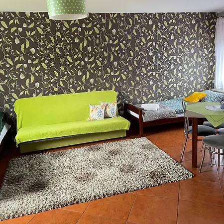 홈스테이 Goscinne U Hanki *