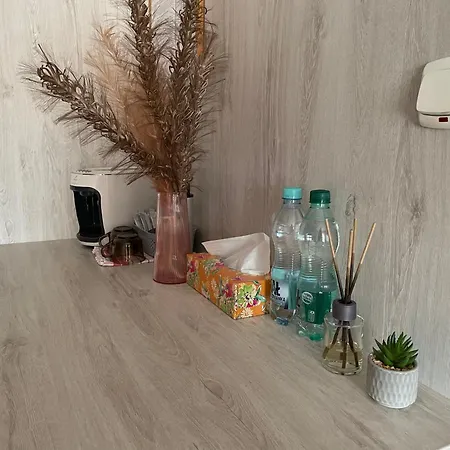 Goscinne U Hanki Homestay *