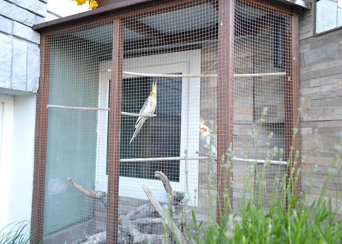 Goscinne U Hanki Ubytování v soukromí Jastrzębia Góra