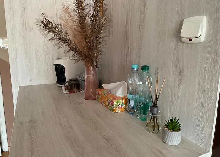 Goscinne U Hanki Ubytování v soukromí *